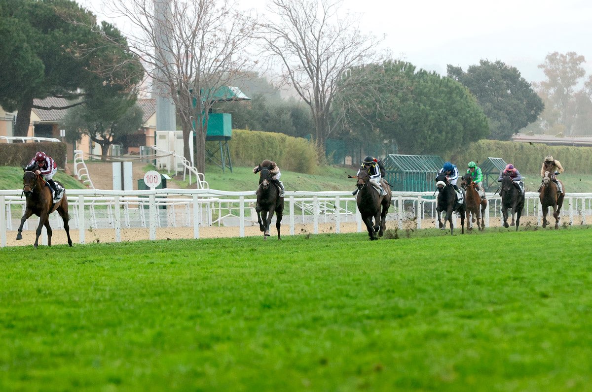 Henri-Alex Pantall tweet media