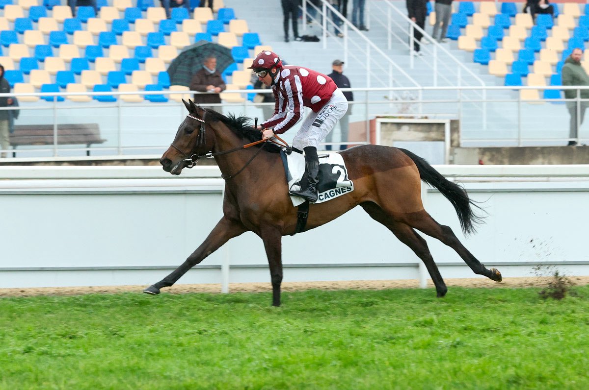 Henri-Alex Pantall tweet media