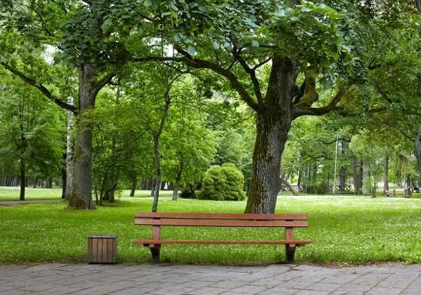 subzero266's tweet image. 誰の友達だろう？ 🍜