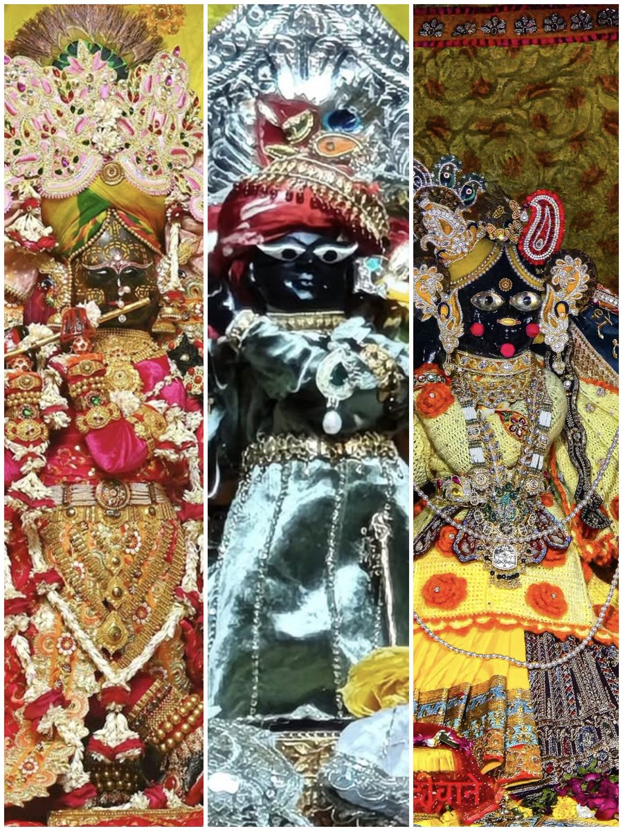 Radhika Ras 🪷 tweet media