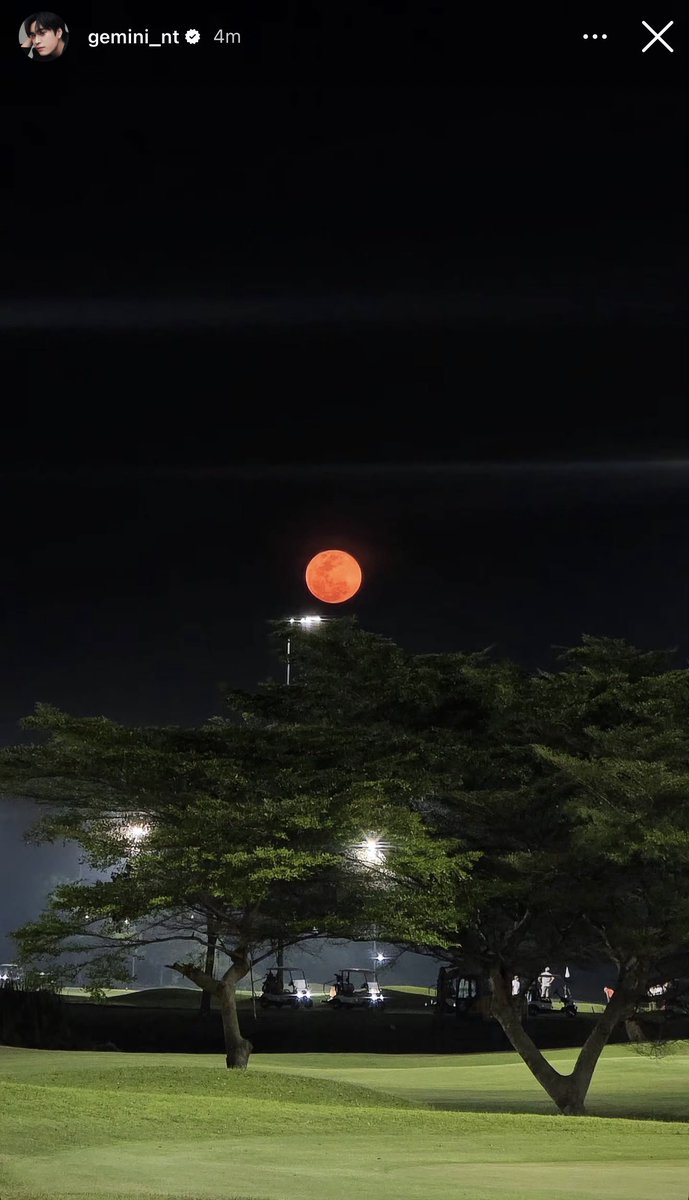 gemini_nt IGS

So pretty🤍

#Gemini_NT #เจมีไนน์
<a href="/gemini_ti/">gemini_nt</a>