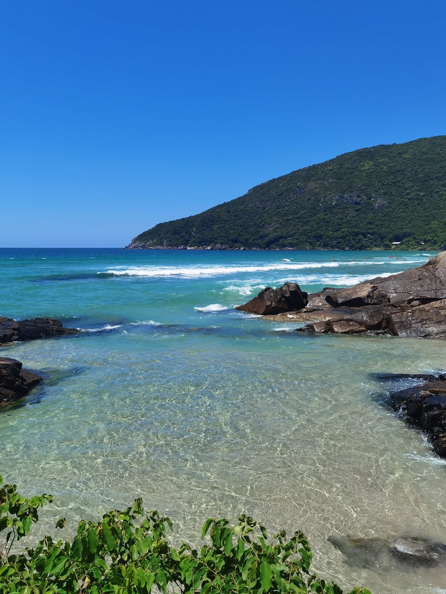 Some days in paradise.