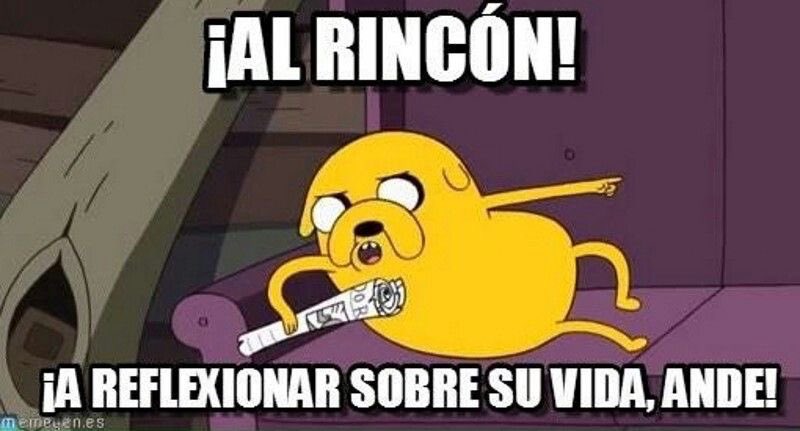 .Susana. tweet media