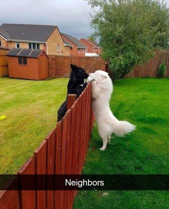 WholesomeMeme's tweet photo. https://t.co/tZvaX351sA