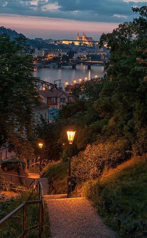 InactiveTweet's tweet image. 守ってね！ 🌏