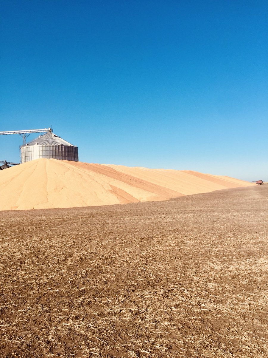 Doug Zink tweet media