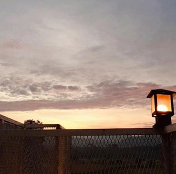 bonskool's tweet image. Day 14 👨‍🦱