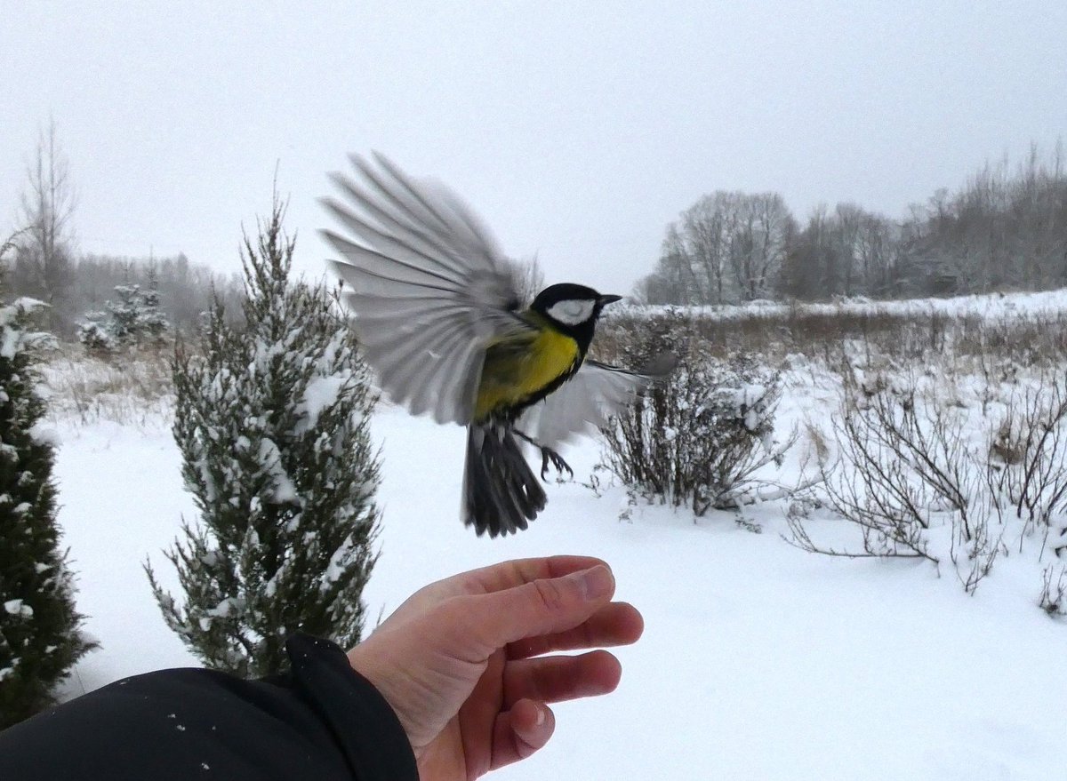 Kaspars Funts tweet media