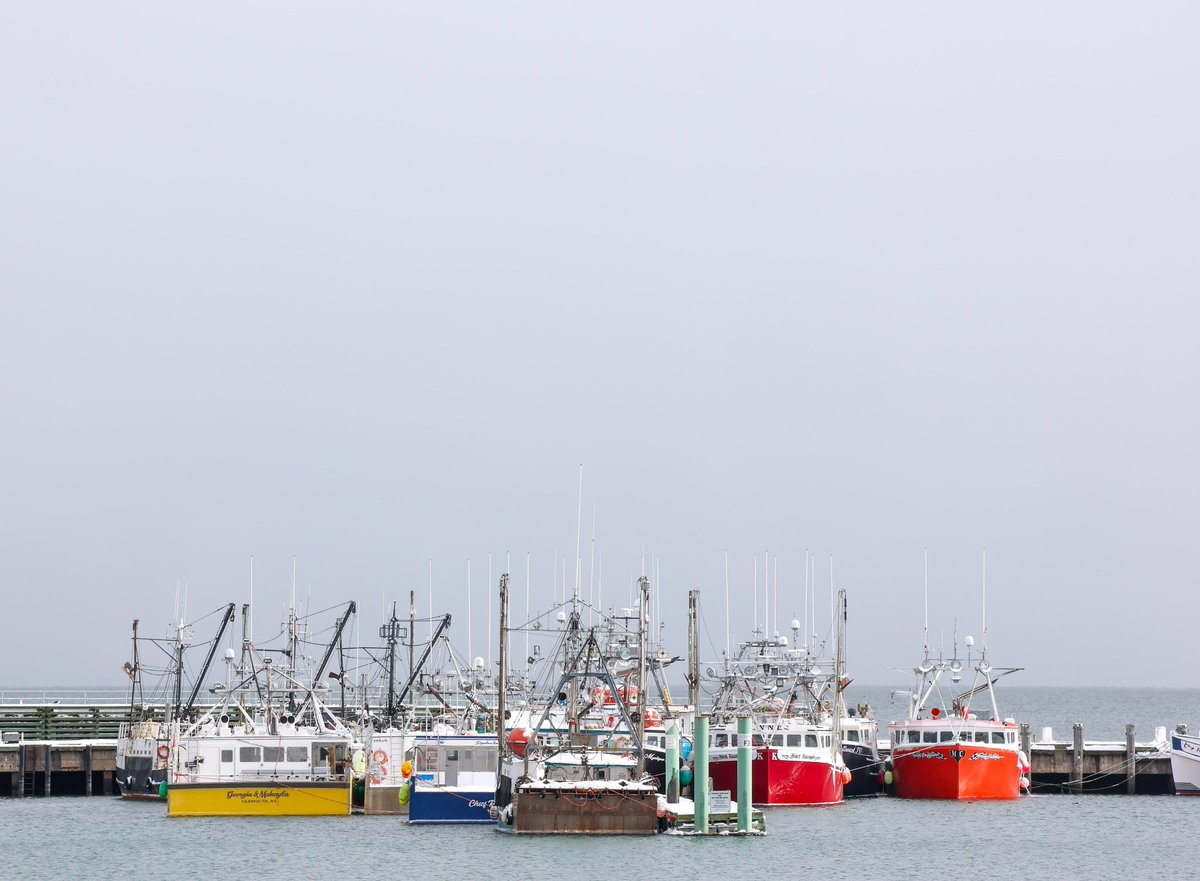 NS Environment and Climate Change tweet media