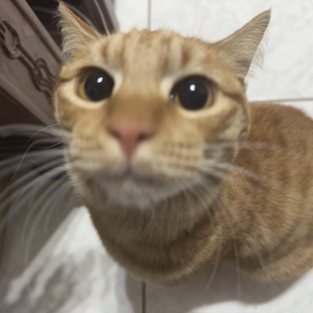 最近的精神狀態👇🏻
延遲三秒…蛤？