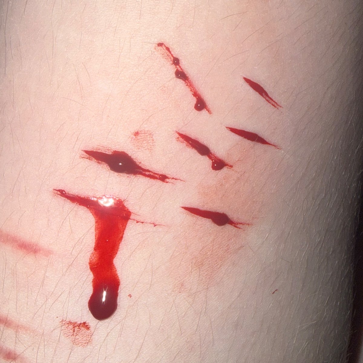 kerdly of shtwt tweet media