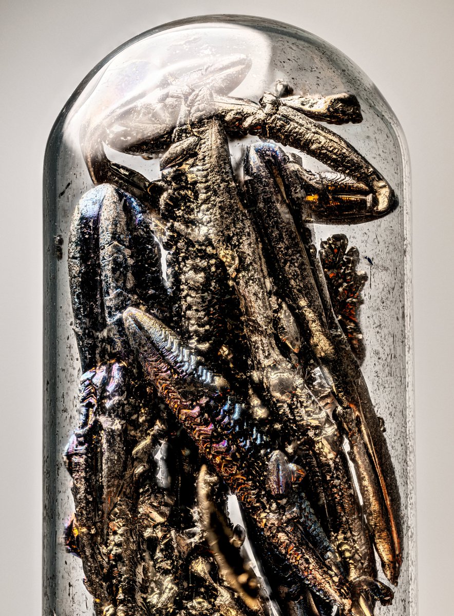 PsiQuantum tweet media