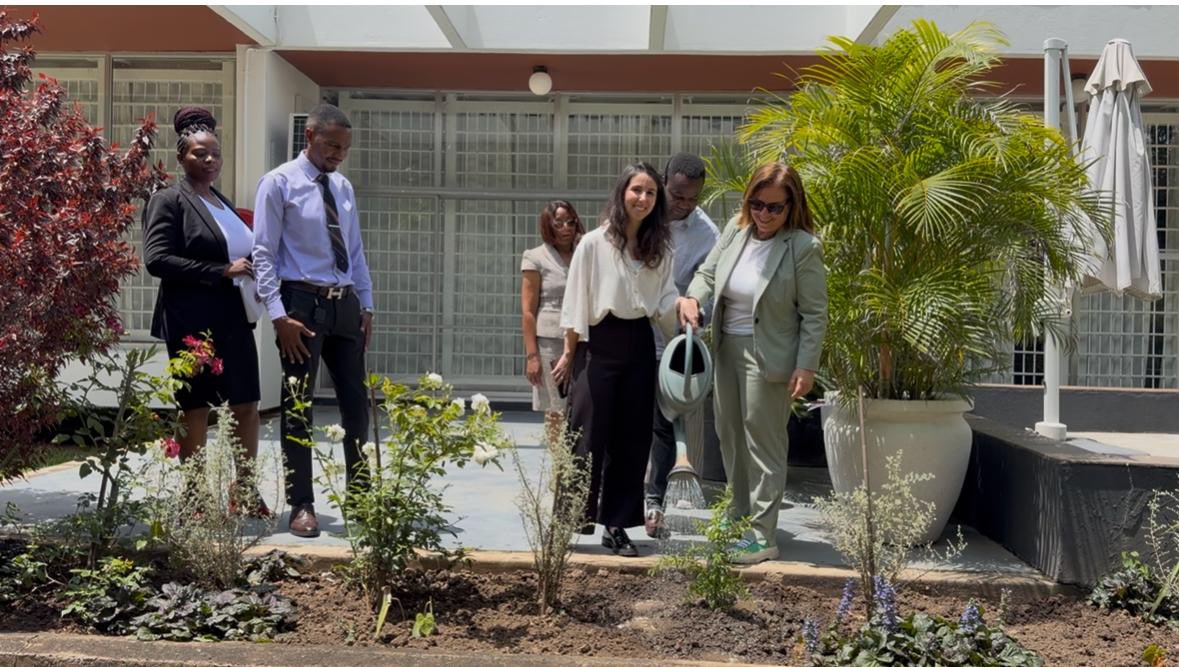 Israel in Zambia tweet media