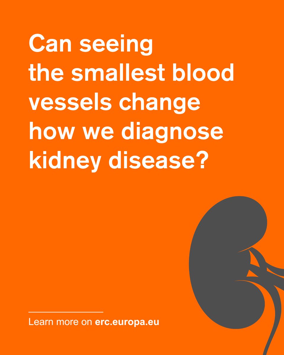 Building on earlier #ERCSyG work with Jørgen Arendt, Charlotte Mehlin and Michael Bachmann, Erik Vilain Thomsen <a href="/DTUtweet/">DTU</a> now advances ultrasound imaging to visualise tiny blood vessels in real time with no contrast or radiation.

Learn more
👉 link.europa.eu/xcNpqk

#ERCPoC