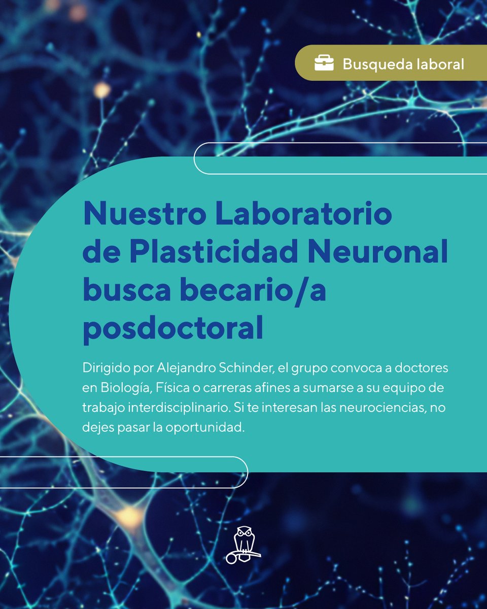 Estamos buscando doctores con entusiasmo por las neurociencias para que se presenten a beca postdoctoral del CONICET y se sumen al grupo de <a href="/ale_schinder/">Alejandro Schinder</a> 

👉 Si te interesa la propuesta, completá el formulario que  encontrás acá: docs.google.com/forms/d/e/1FAI…