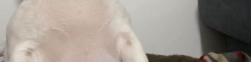 twaniimals's tweet photo. tap the post