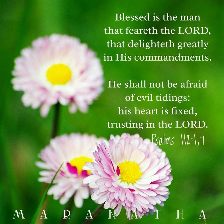 ComPreaching's tweet image. With a made-up mind, we will not be moved.