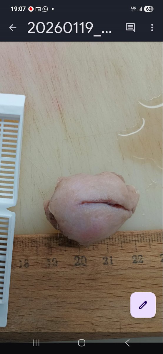 Masum Gözler tweet media