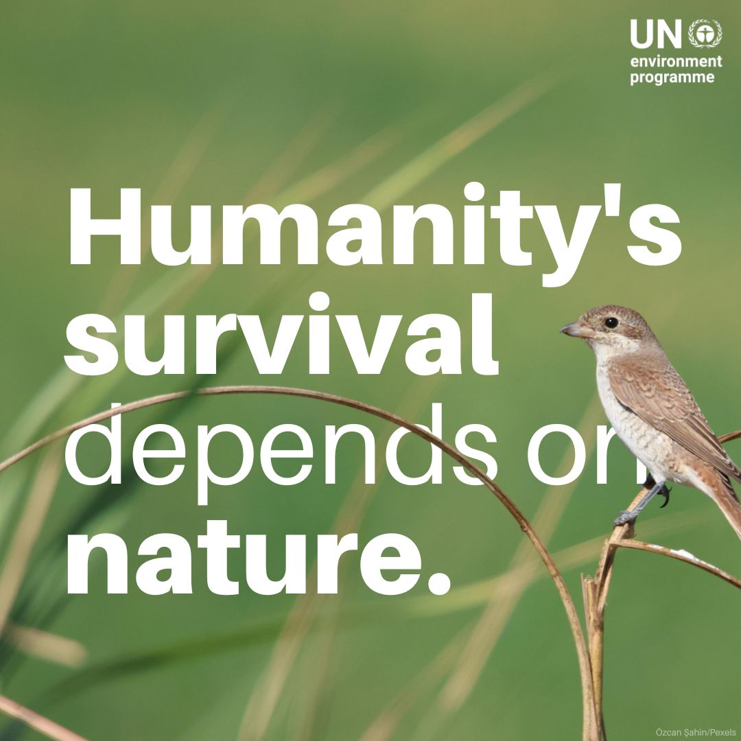 Robert J.Turyakira tweet media