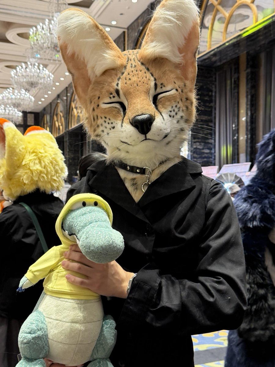 HoIdstiII tweet media