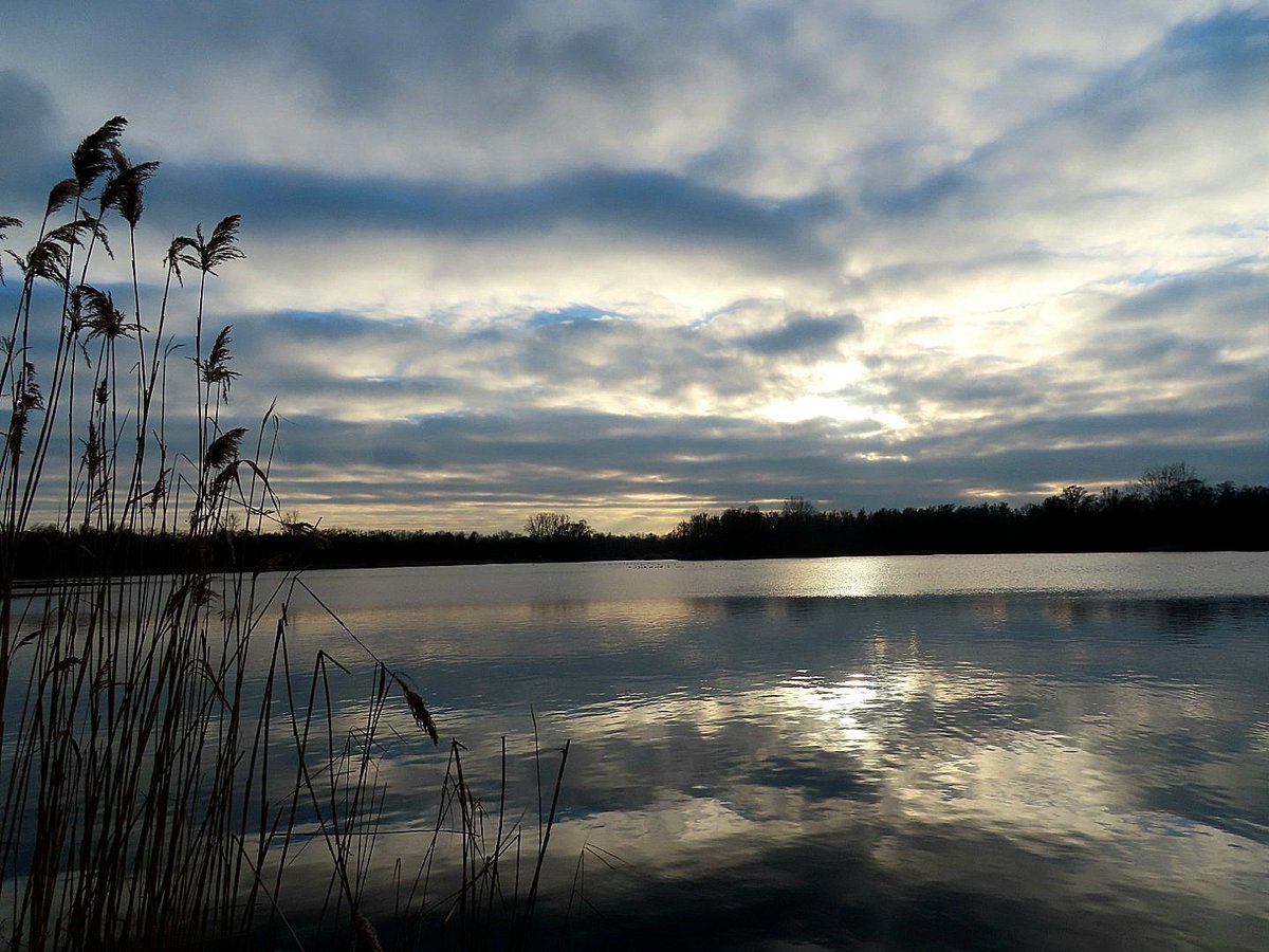 Iet 🌍 tweet media