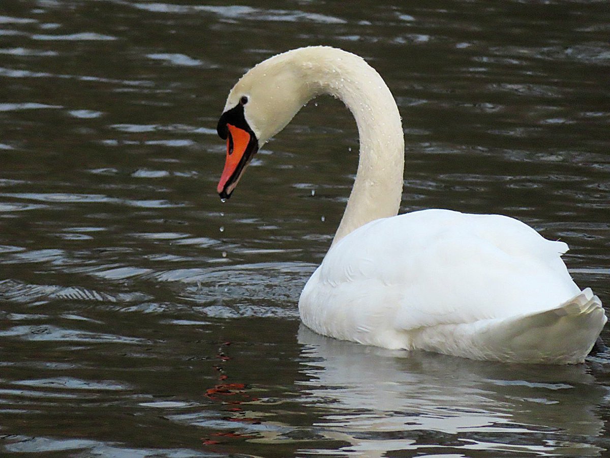 Iet 🌍 tweet media