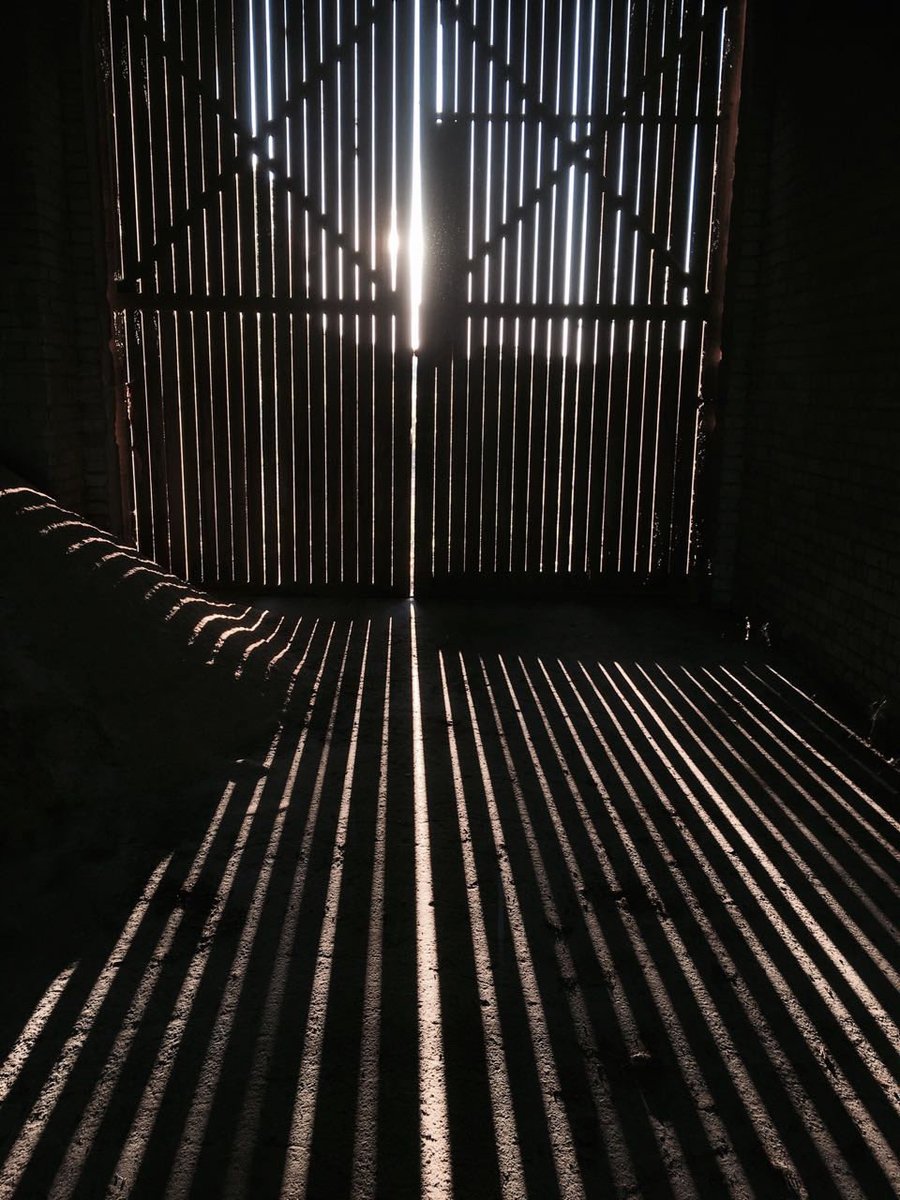 Freie Bauern tweet media