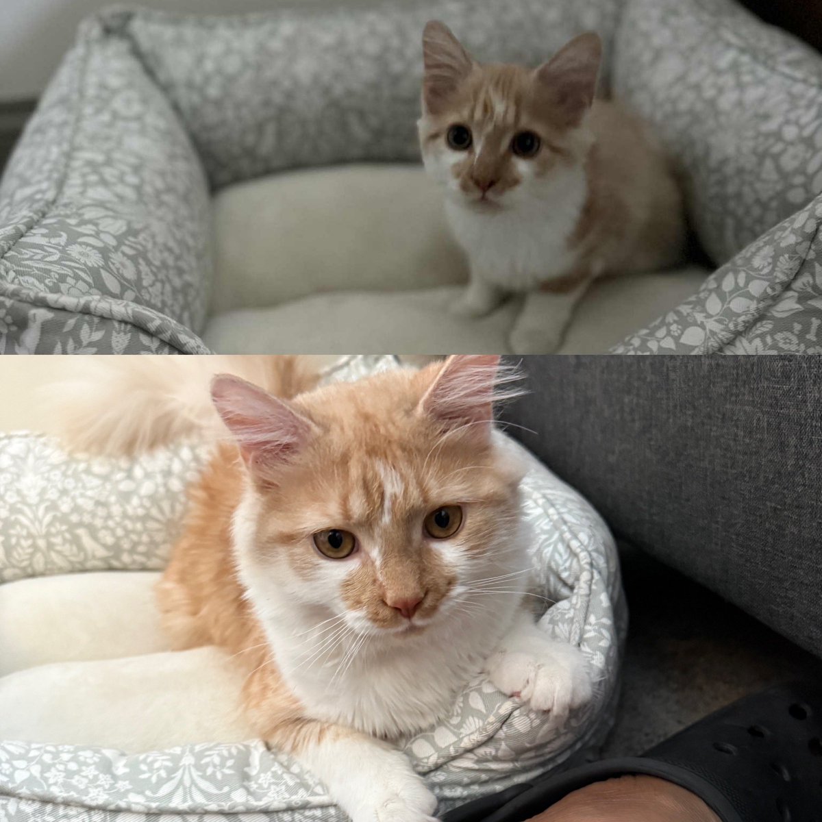 Mightykeef tweet media