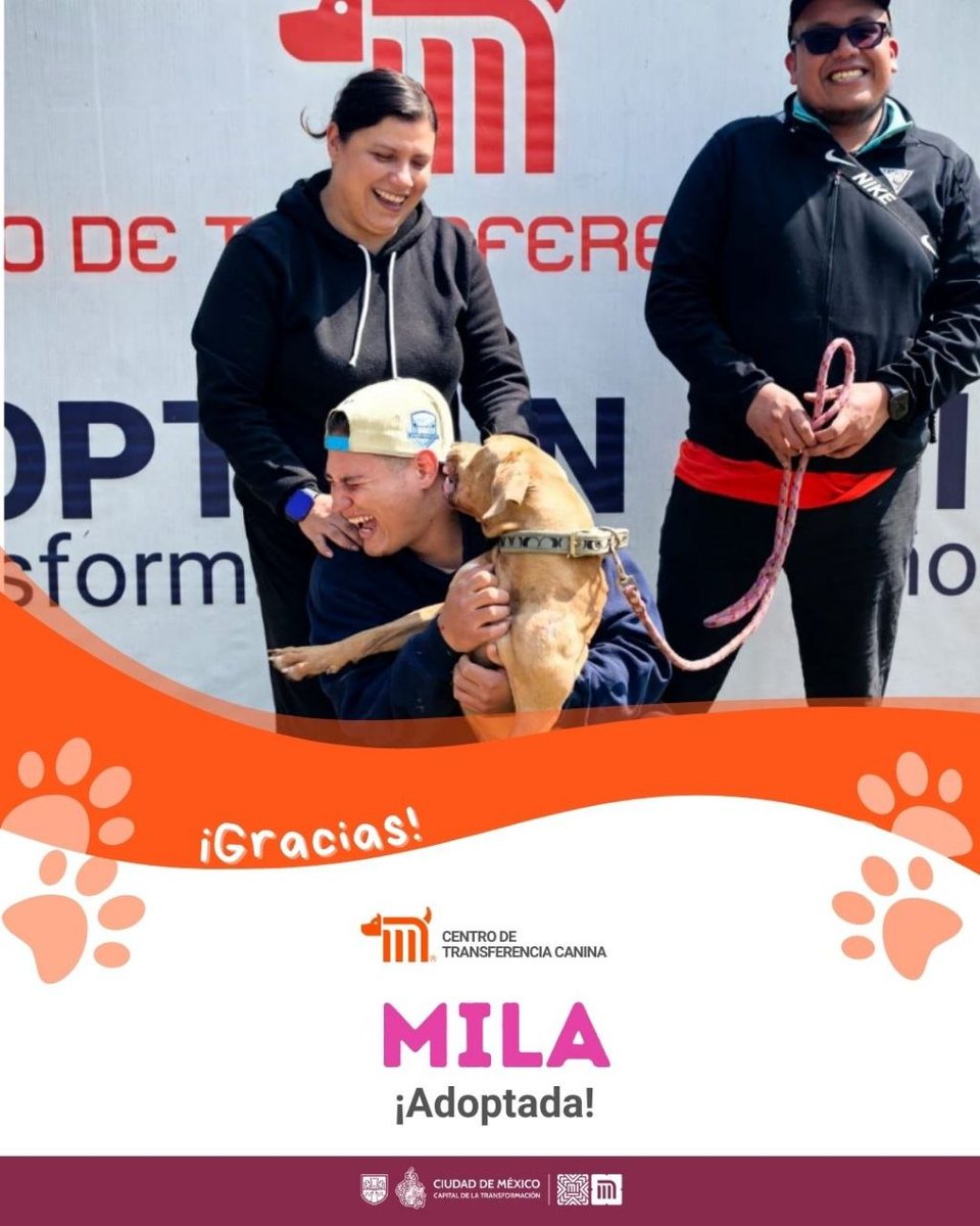 ctcdelmetro's tweet image. Gracias a la familia Gómez Olivares por darle un nuevo hogar a Mila, quien dejó el #CTC. Muchos otros amigos peludos siguen esperando por ti. Transformar una vida está a solo un Metro de distancia. 🐾

Conoce cómo hacerlo en: metro.cdmx.gob.mx/adoptame  

#AdoptaNoCompres 🏡