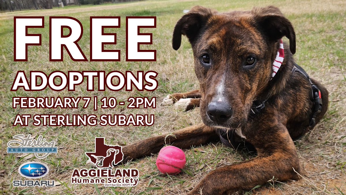 Aggieland Humane Society tweet media