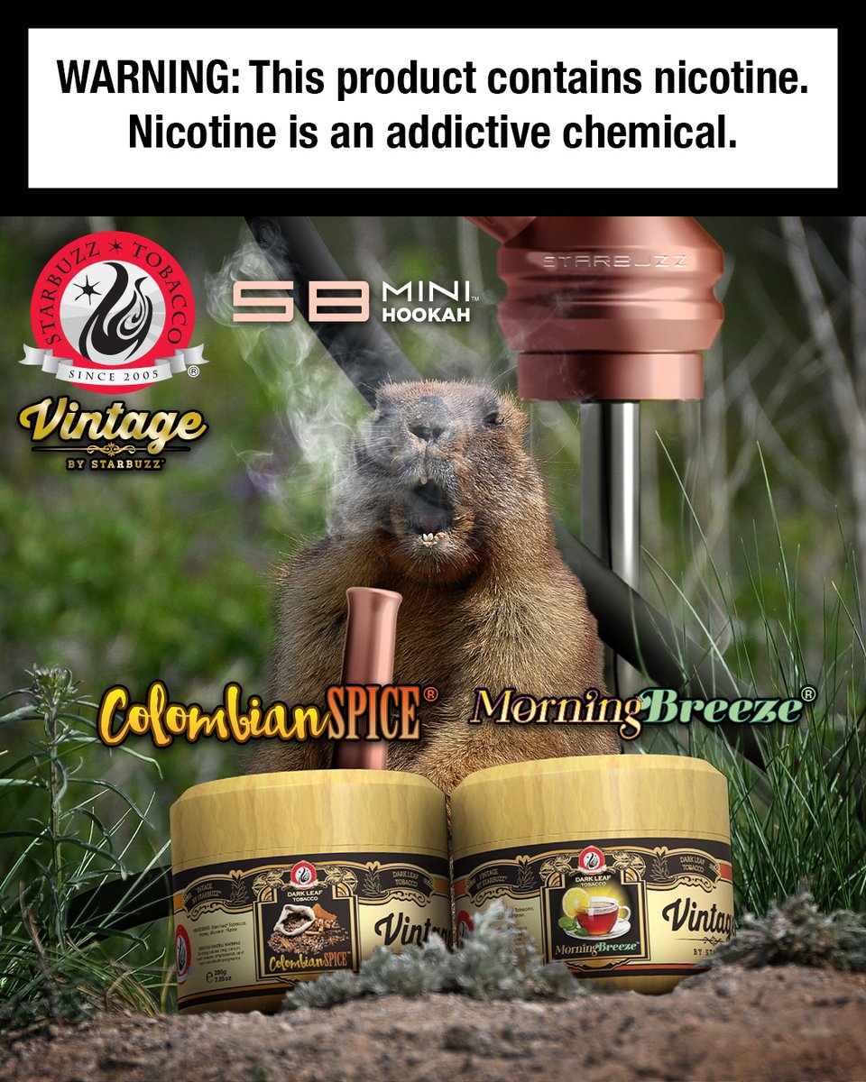 It’s never too early for #coffee or #tea. ☕️🍵💨

#hookah #narguile #smoke #coffeeortea #shisha #tobacco #vintage #groundhogday #theultimatehookahexperience #goodmorning #happymonday #spring
