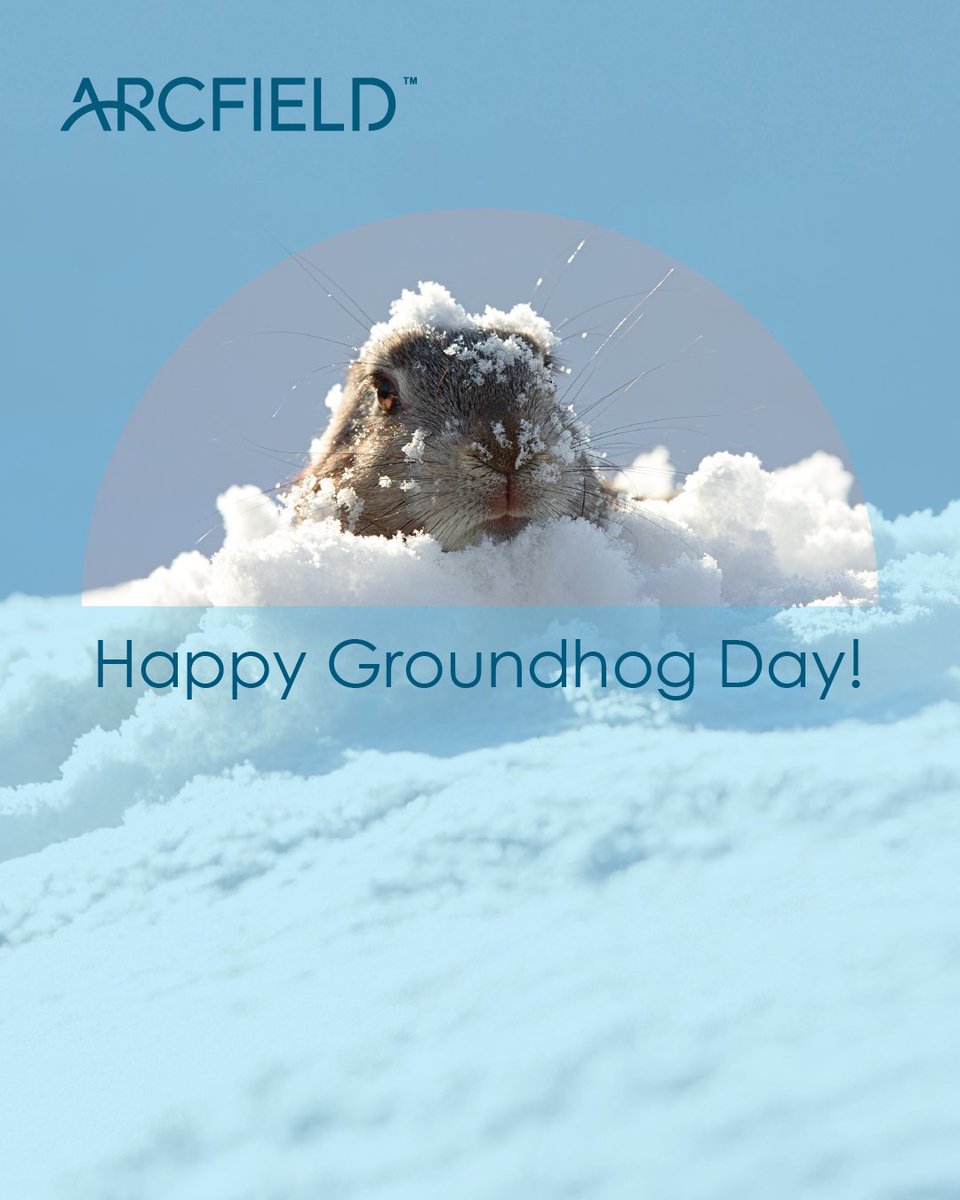 Arcfield tweet media