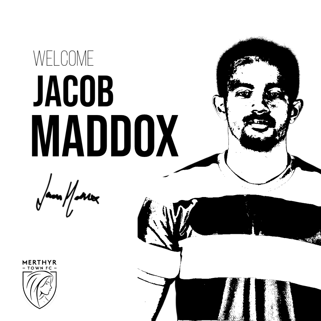 The Martyrs tweet media