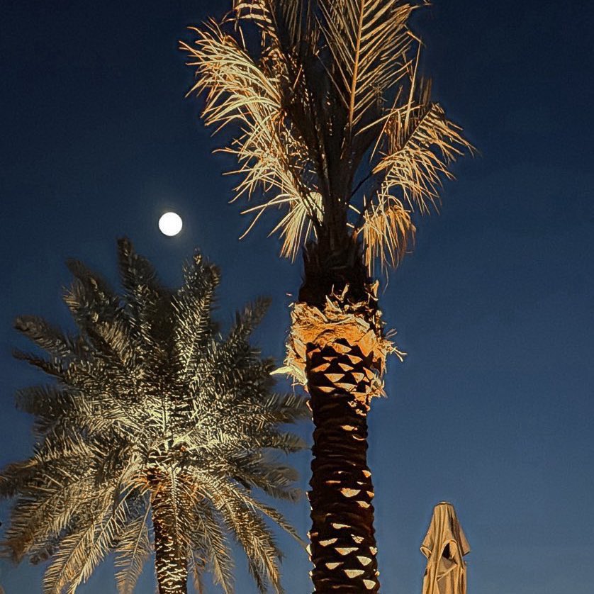 hs_hsb's tweet photo. #قمر_١٤ 

ليلة تحت ضوء القمر .. 🌑💛 https://t.co/YClL7nVAcF