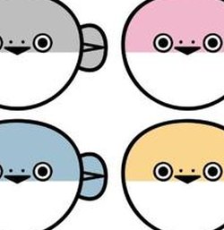 fig115's tweet image. 午前の掃除かな 🐻