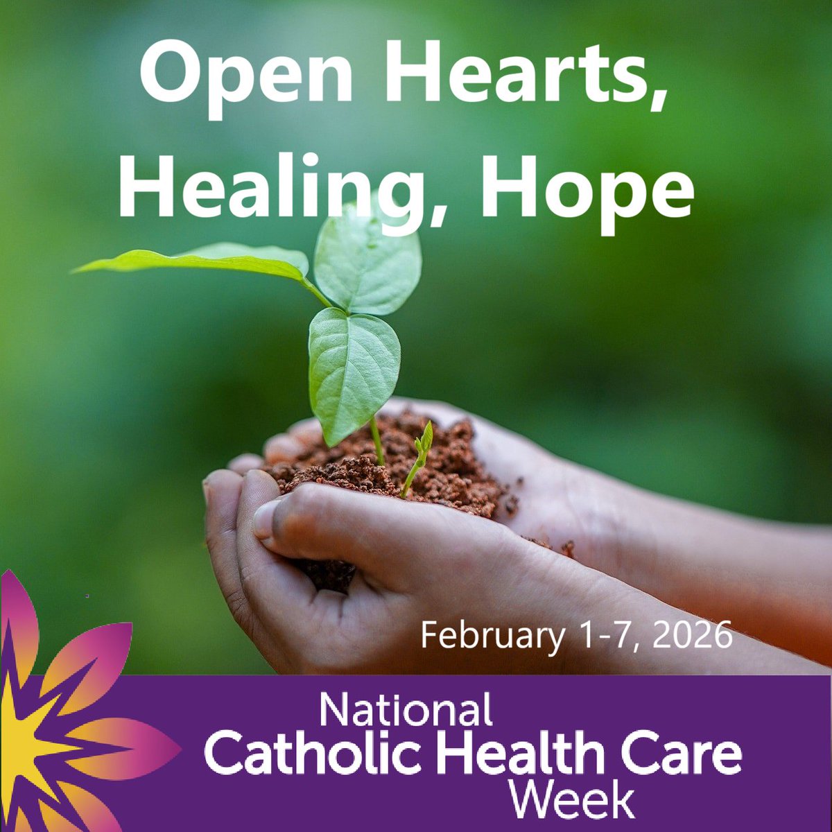 Saskatoon RC Diocese tweet media