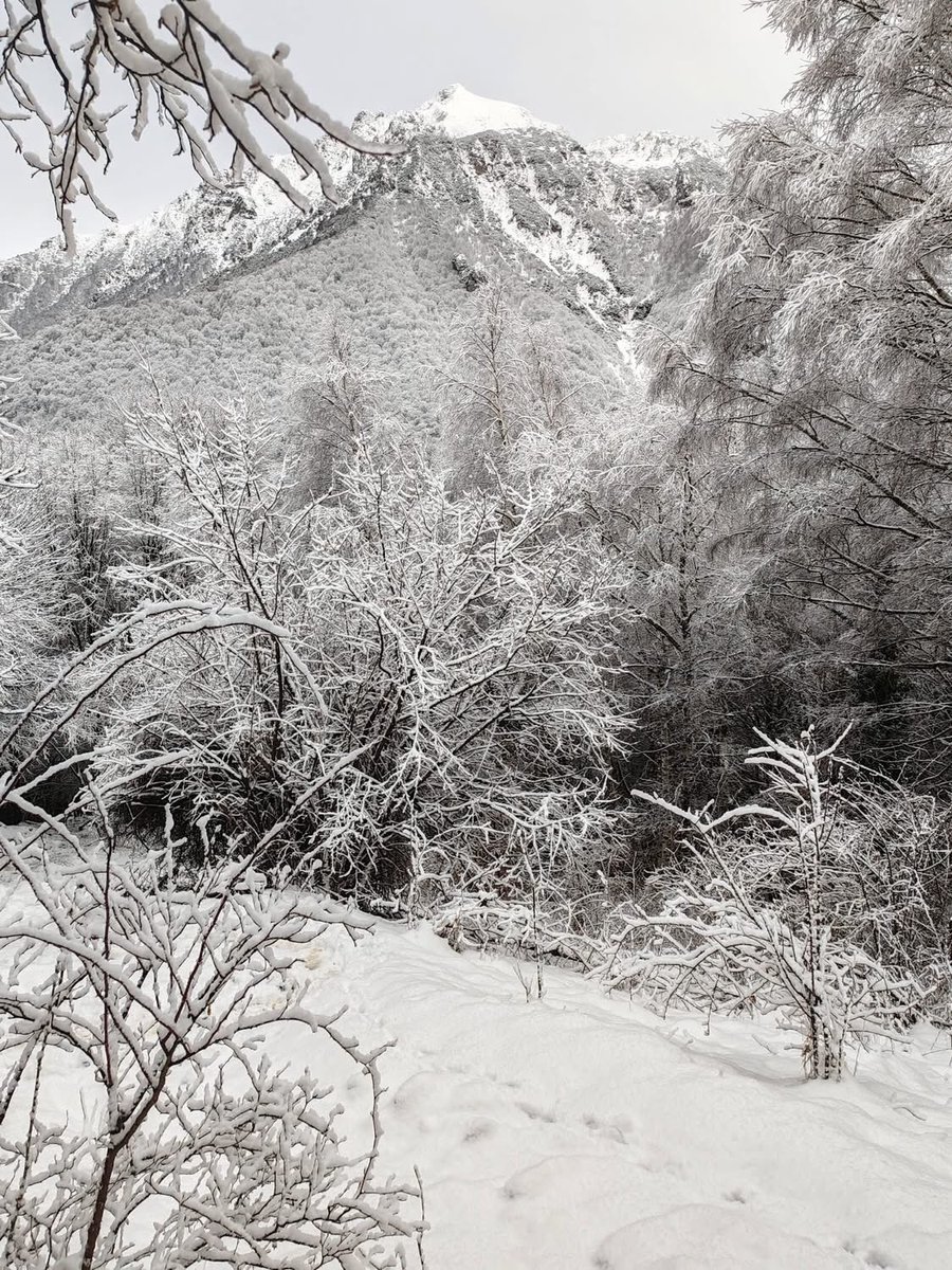 L’attesa sottintende il desiderio
e si rafforzano a vicenda
Quando tutto appassisce 
nel freddo della neve
il desiderio diventa forza 
e l’energia trasforma di nuovo
la vitalità perenne. 

foto Sonia Picariello, la Grigna (LC)