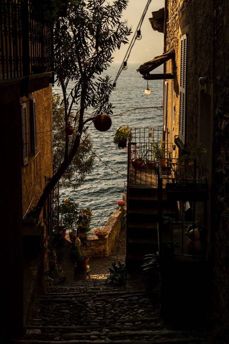 Raphael Barberi📷 tweet media