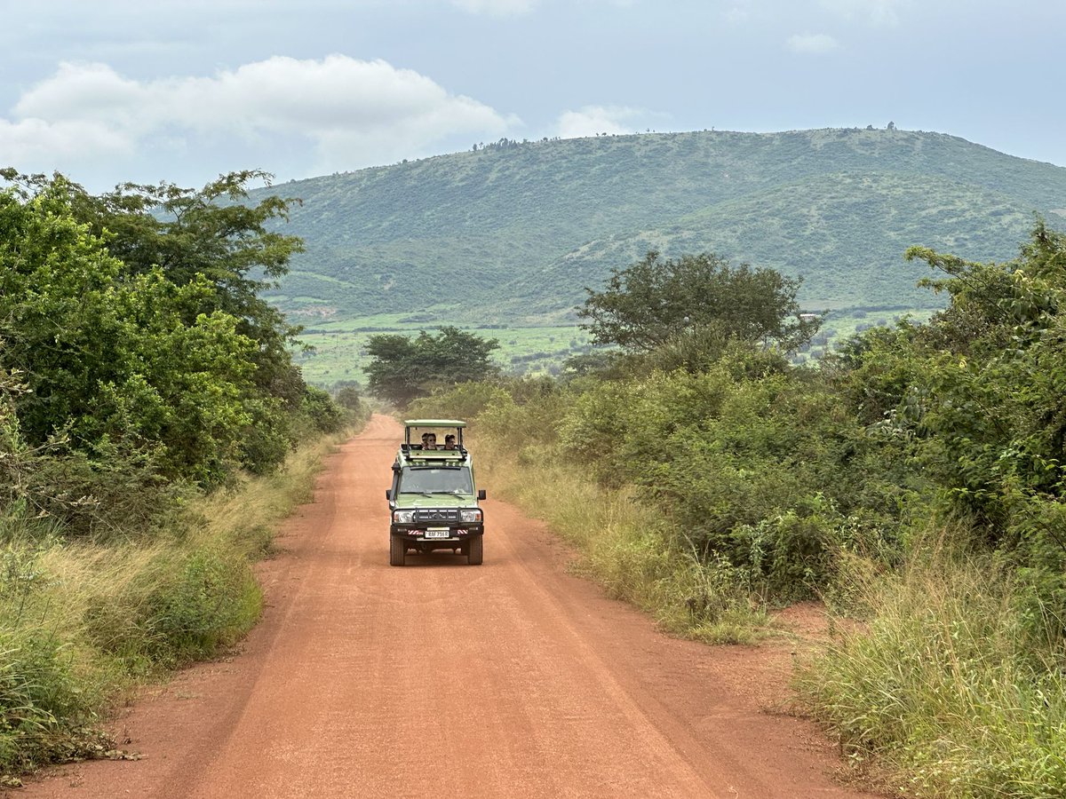 ericsabii's tweet photo. Looking for a Rwanda safari experience without congestion?

Akagera National Park offers well-managed game drives and boat safaris.

Reach out to us for a tailor made Rwanda Safari experience

📧 info@hopetoursafrica.com

📞 +250 788 602 524

#Rwandasafari #akageranationalpark https://t.co/B2ZUOqd0Fj