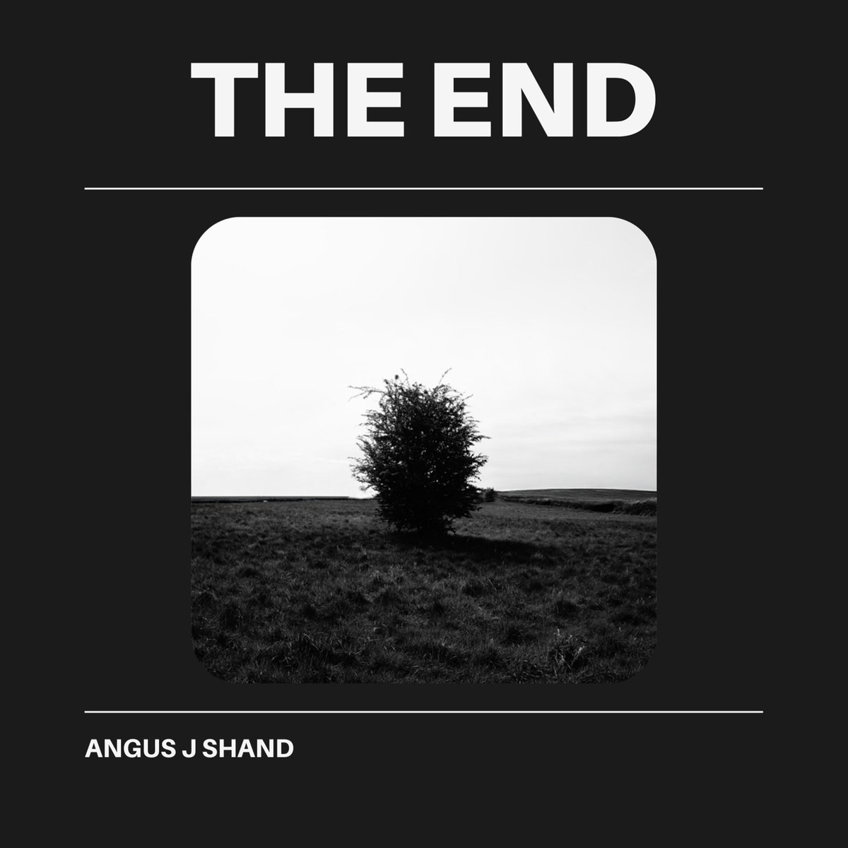 peermusic Accorder Film & TV tweet media