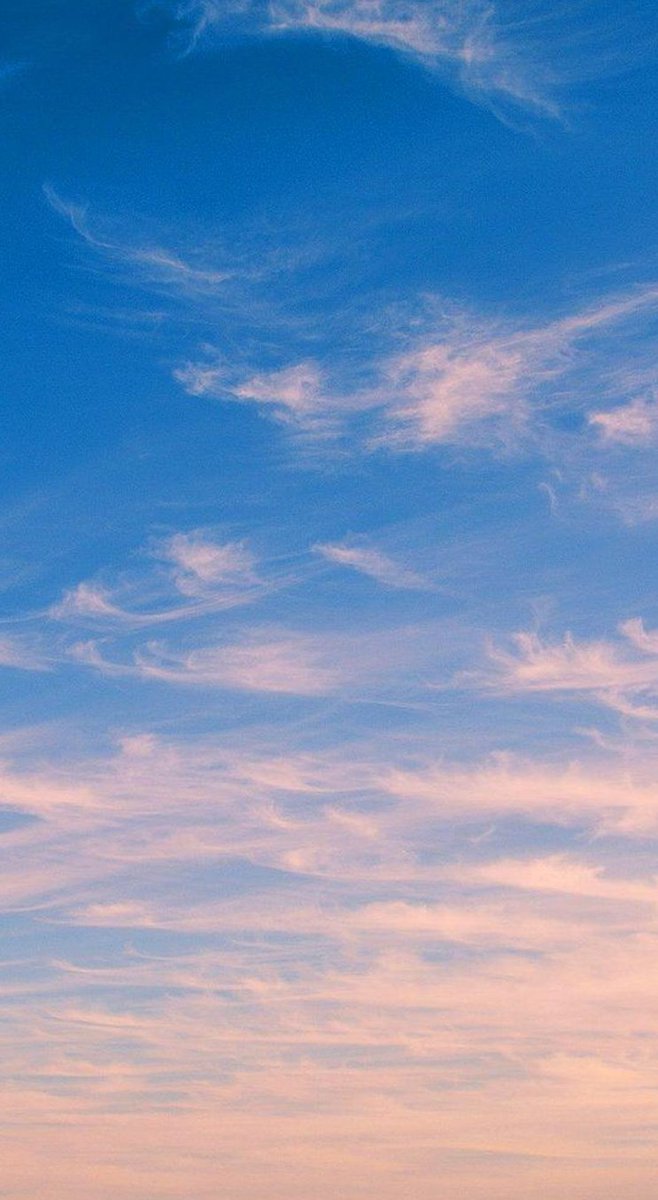 DOSOLOTO's tweet image. 家族はどっち？ 👮