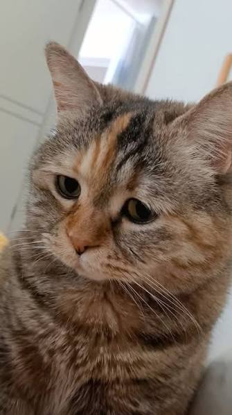 𝑴𝑬𝑳𝑰𝑵𝑶𝑬 tweet media