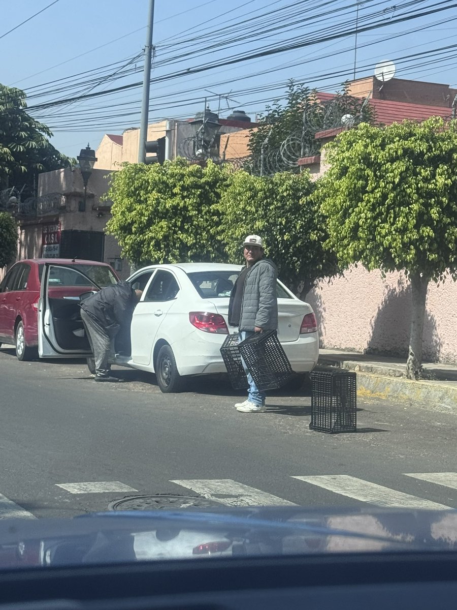 José Antonio Diaz tweet media