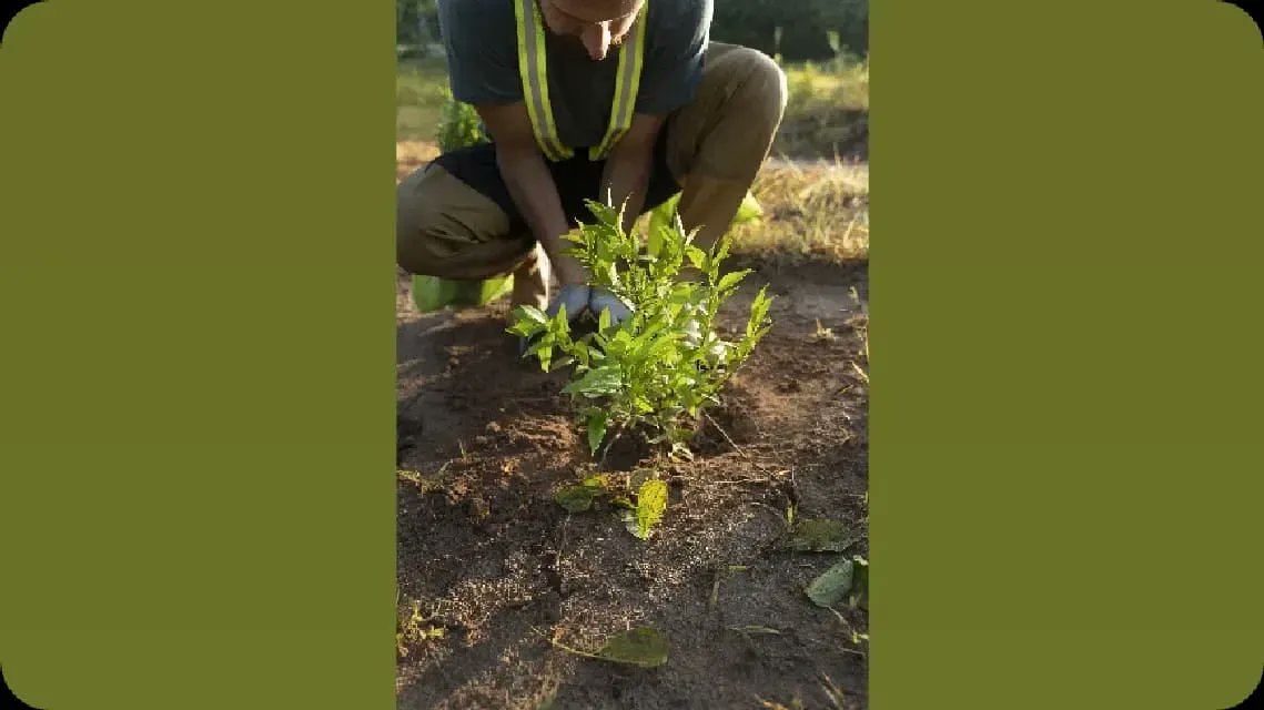 This image says it all 🌿
It starts with you. Make a difference.

View the post 👉 app.ecox.network/community/post…
Earn GREEN on @ECOX_ECOToEarn while you act:
app.ecox.network/register?refCo…

#ECOX #GREEN #ECO_TO_EARN