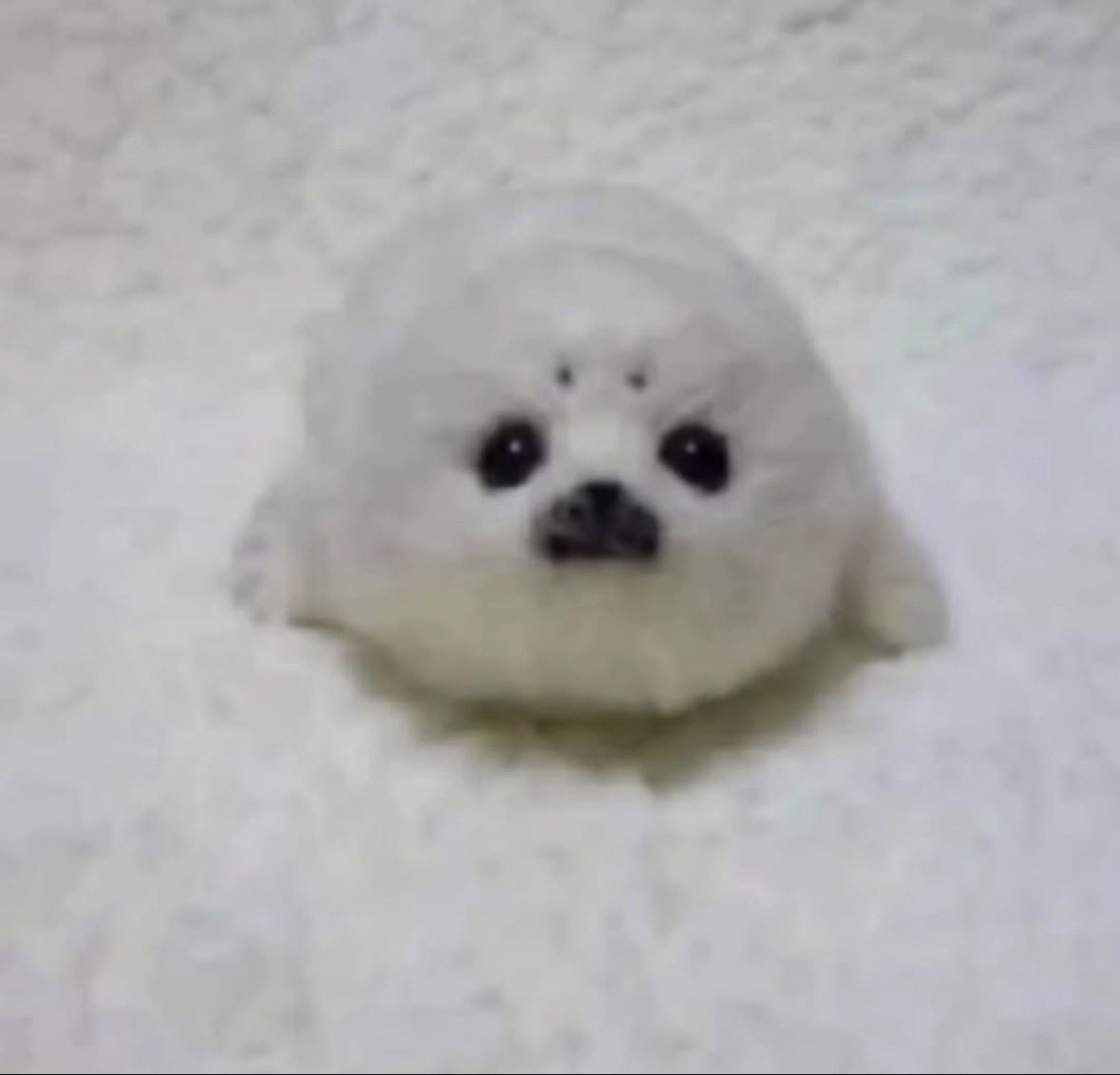 cavempty_'s tweet image. his determination is ironclad, his spirit unbreakable