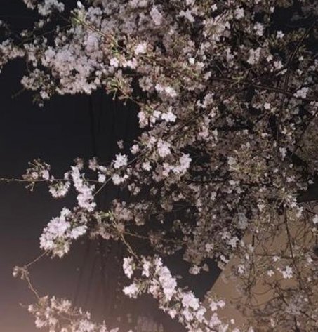 ARTBYDIME's tweet image. 電車に座る 🦌