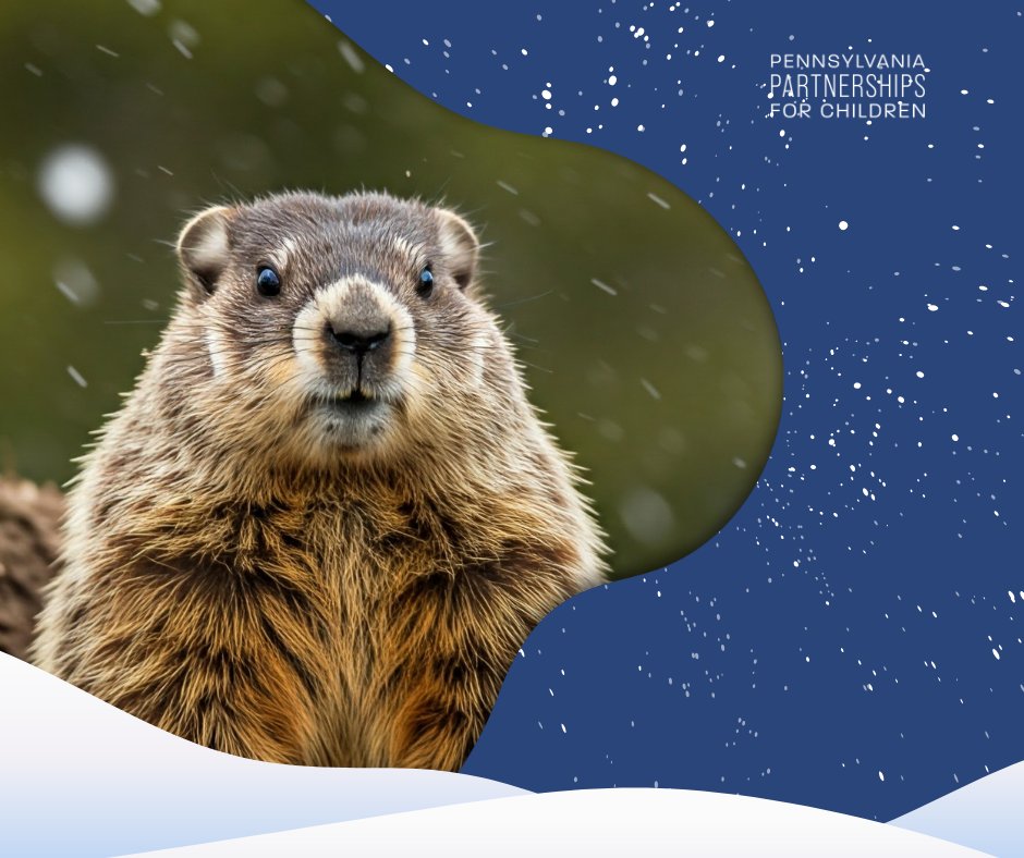 PAP4Children tweet media