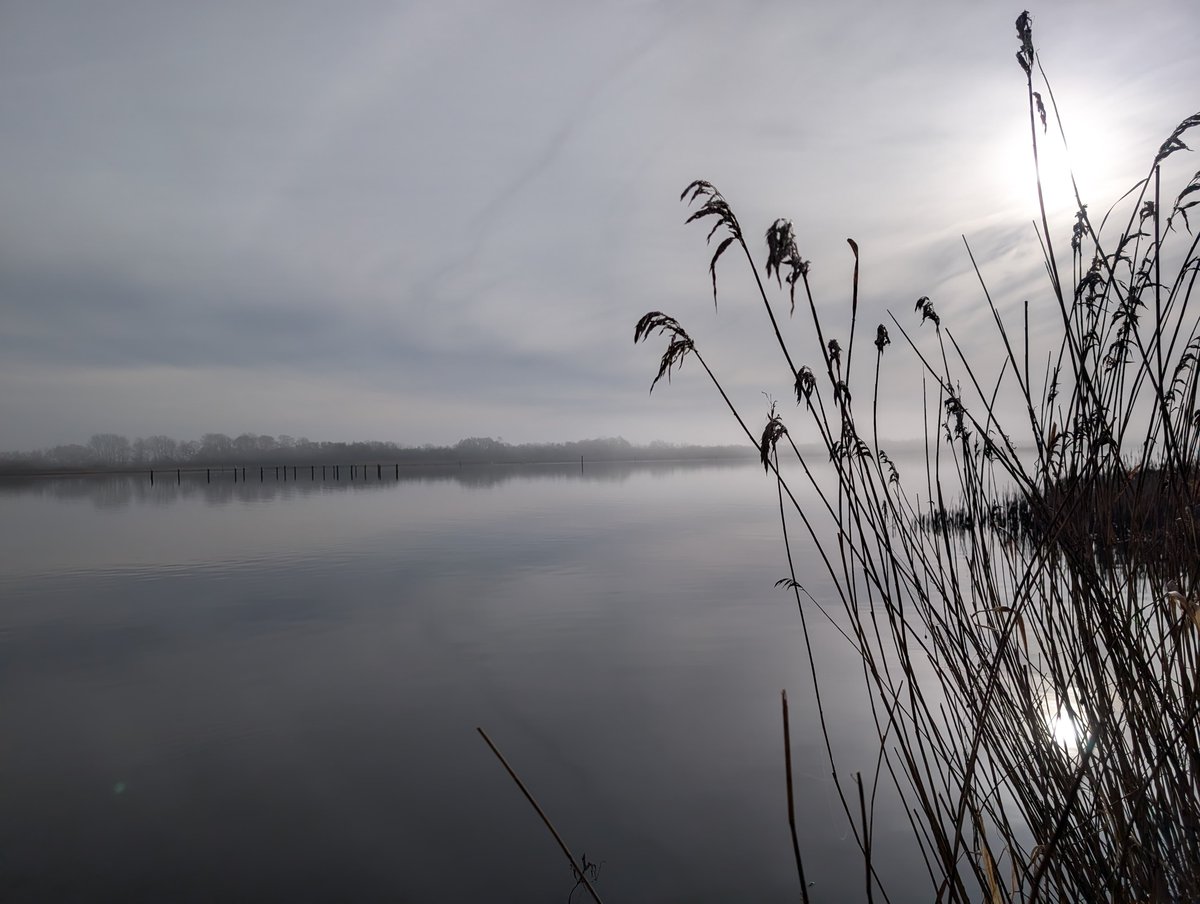 Norfolk Wildlife Trust tweet media