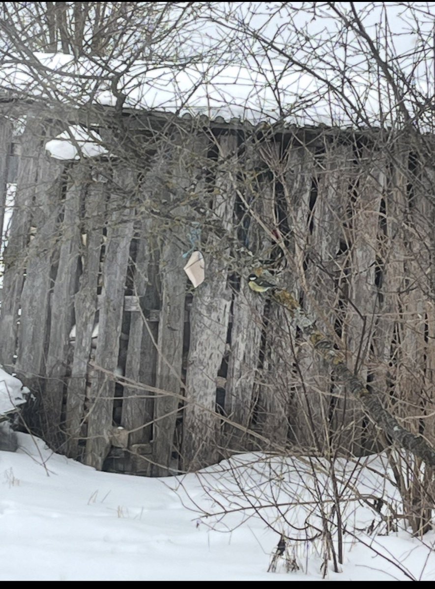 Baiba 🏳️‍🌈🏳️‍⚧️🇱🇻🇺🇦 tweet media