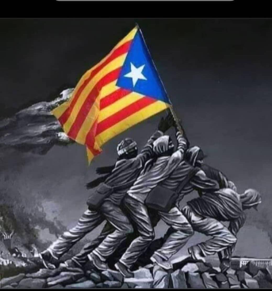 laxarxaxanante1's tweet image. Comença la @laxarxaxanante1 
Recordeu:
👇
1️⃣ REPIULAR

2️⃣ SEGUIR A QUI REPIULI

3️⃣ SEGUIR A QUI US SEGUEIXI
De què serveix una 'empresa mixta' i fotos de traspassos si avui tenim 10 trams tallats, busos substitutoris i el servei per terra?